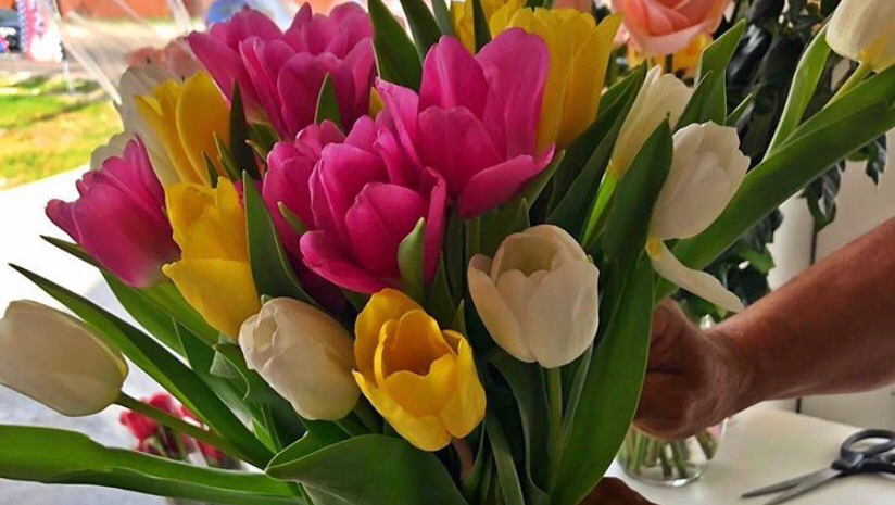 Smile & Dream Flowers Shop | Westar Gas Station, 6776 SW 117th Ave, Miami, FL 33183, USA | Phone: (305) 833-2446