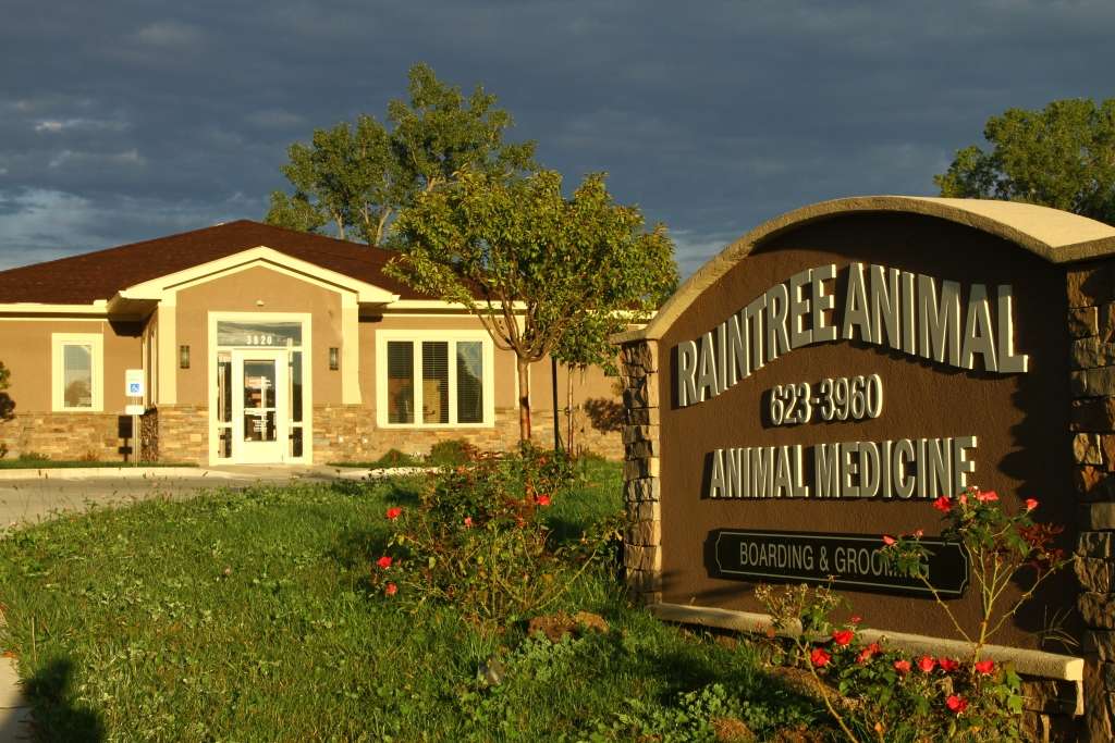 Raintree Animal Health Center | 3820 SW Ward Rd, Lees Summit, MO 64082, USA | Phone: (816) 623-3960