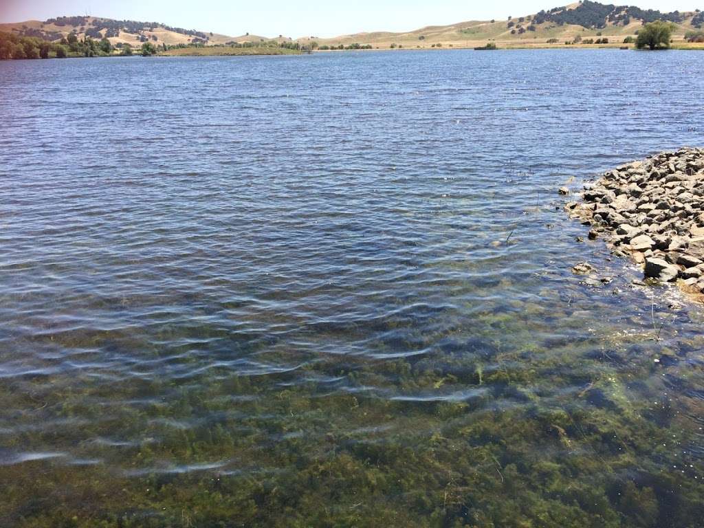 Lagoon Valley Reservoir | Lagoon Valley Rd, Vacaville, CA 95687, USA