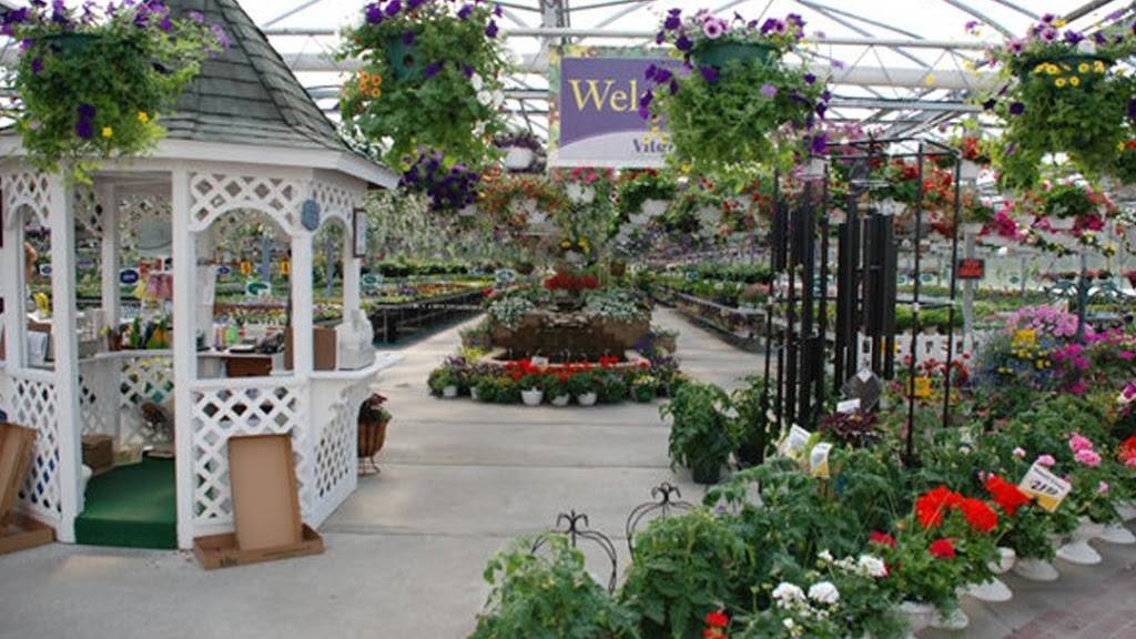 Vite Greenhouses | 2610 Redbud Trail, Niles, MI 49120, USA | Phone: (269) 695-2959