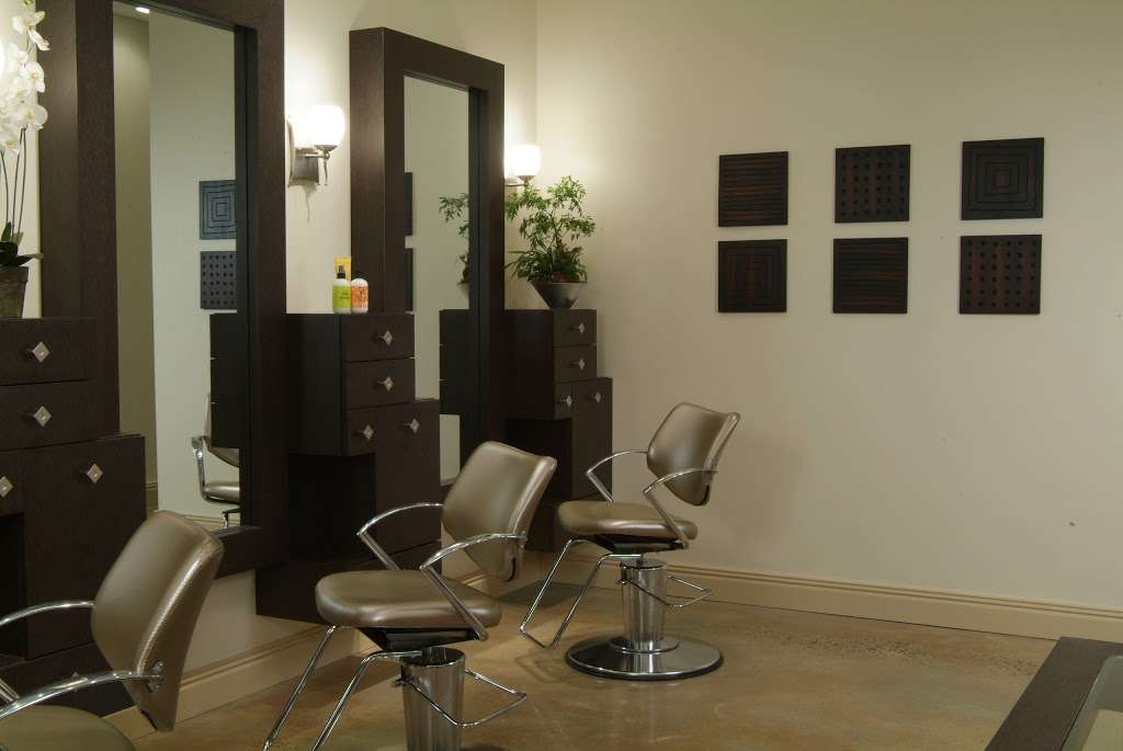 TRU salon + spa | 1190 NJ-28, Branchburg, NJ 08876, USA | Phone: (908) 218-9878