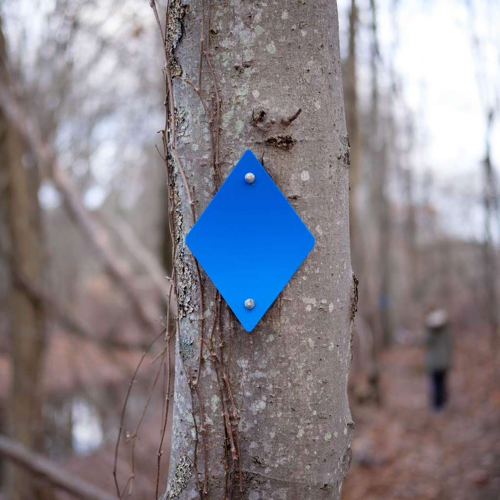 Gammino Pond Preserve | 463 Newman Ave, Seekonk, MA 02771, USA