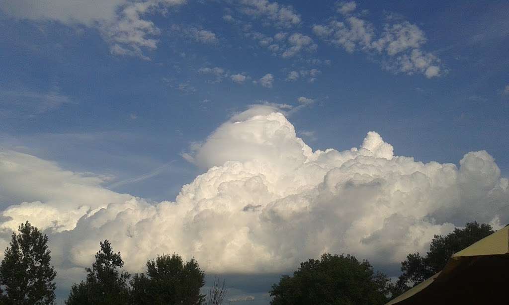 Woodland Meadows | 2582 N 28th Rd, Marseilles, IL 61341, USA | Phone: (815) 795-6596