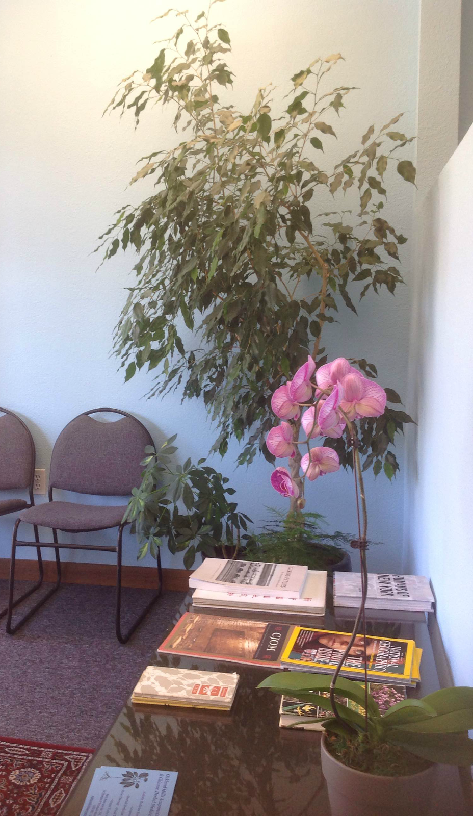 Oakland Hills Acupuncture & Integrative Medicine | 4400 Keller Ave #250, Oakland, CA 94605 | Phone: (510) 982-1875