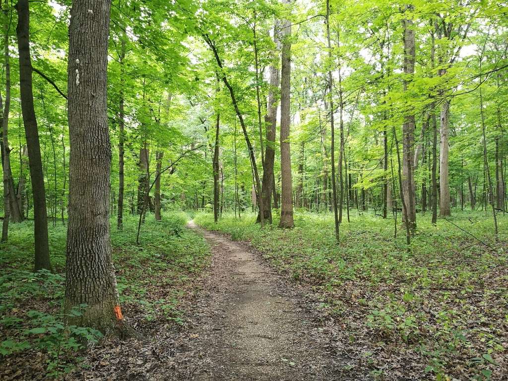 Meacham Grove Nature Preserve | Circle Ave, Bloomingdale, IL 60108, USA | Phone: (630) 933-7248