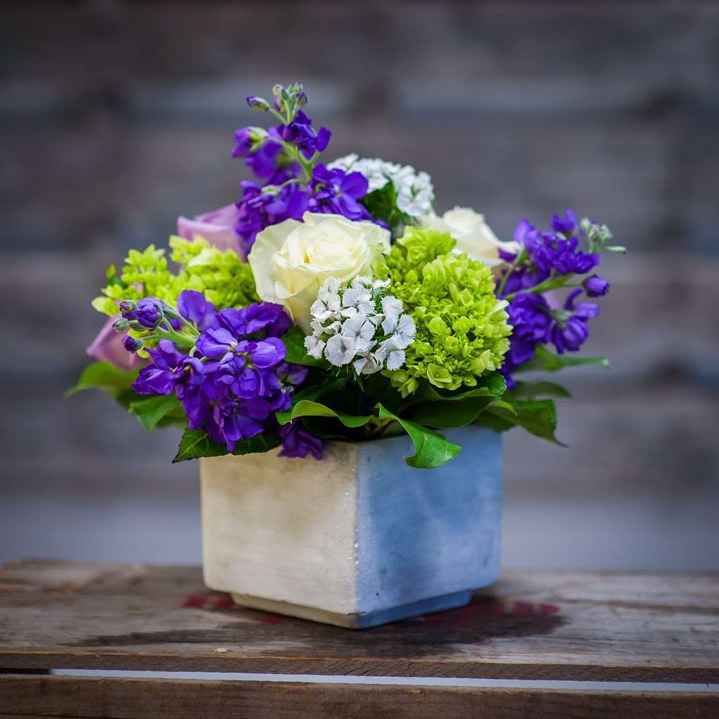 Flowers & Festivities | 35 Front St, Scituate, MA 02066, USA | Phone: (781) 545-0929