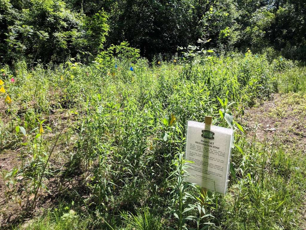 Saddlers Woods Conservation Association | 250 MacArthur Blvd, Haddon Township, NJ 08108, USA | Phone: (856) 869-7372