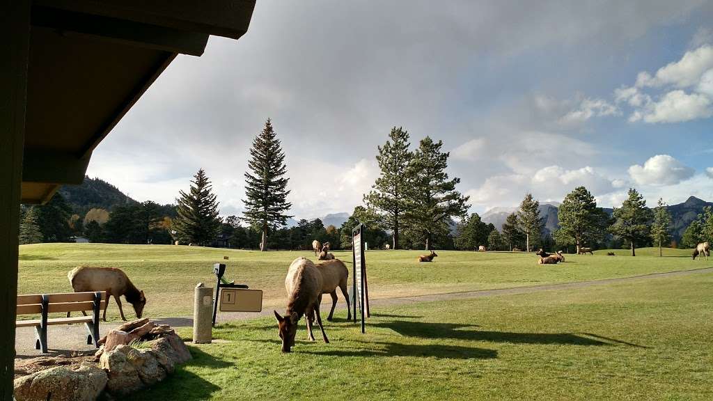 Estes Park 18-Hole Golf Course | 1480 Golf Course Rd, Estes Park, CO 80517, USA | Phone: (970) 586-8146