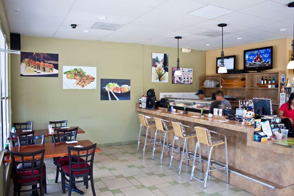 Spikey Ty | 4690 Coral Ridge Dr, Coral Springs, FL 33076, USA | Phone: (954) 753-5489
