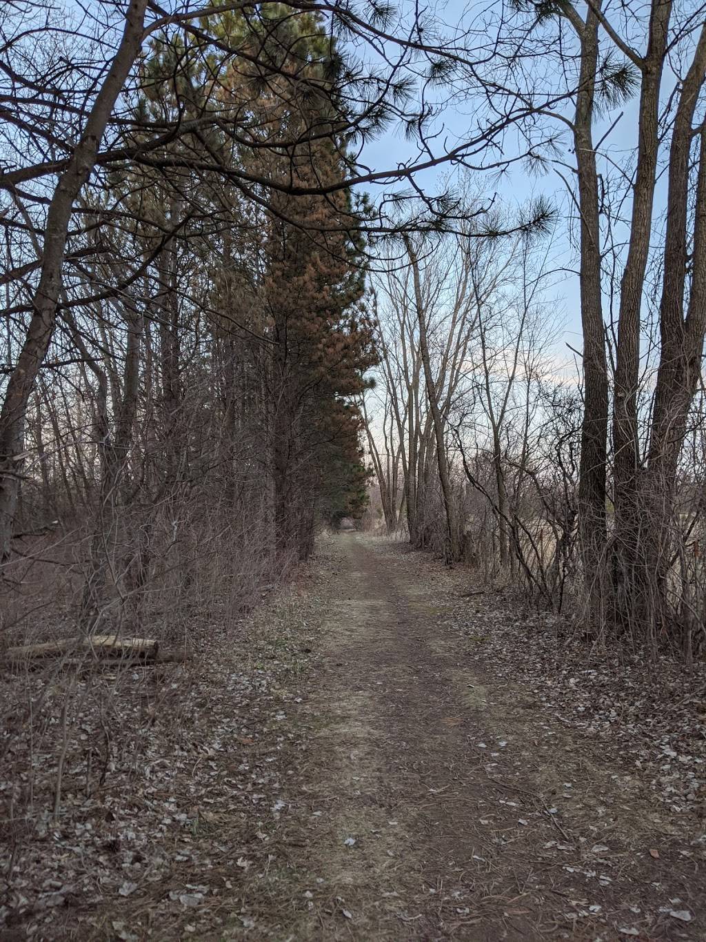 Sally Manzara Interpretive Nature Center | Sunfish Lake Park, Entry Road, Lake Elmo, MN 55042 | Phone: (651) 408-2838