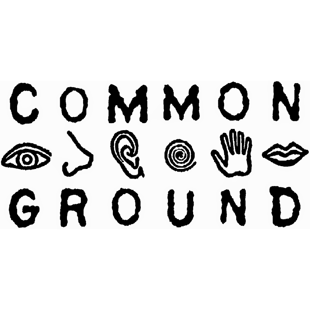 Common Ground Gallery | 3277 Sandwich St, Windsor, ON N9C 1A9, Canada | Phone: (519) 252-6380