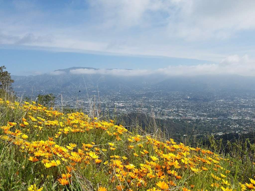 Verdugo Mountains Open Space Preserve | Oakmount View Dr, Glendale, CA 91209, USA | Phone: (818) 880-0363