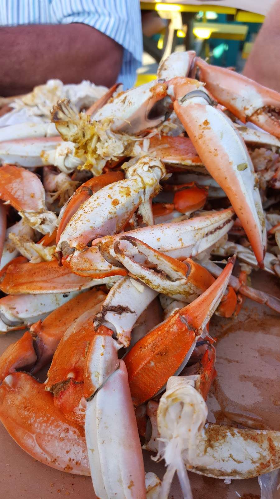 Dewey Beer Co. | 2100 Coastal Hwy, Dewey Beach, DE 19971, USA | Phone: (302) 227-1182