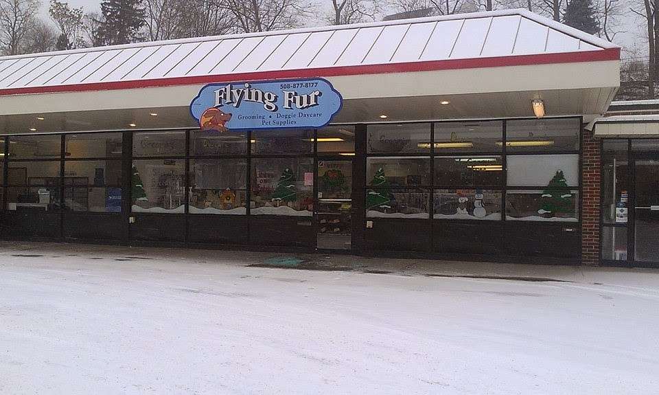 Flying Fur | 27 Nicholas Rd, Framingham, MA 01701, USA | Phone: (508) 877-8177