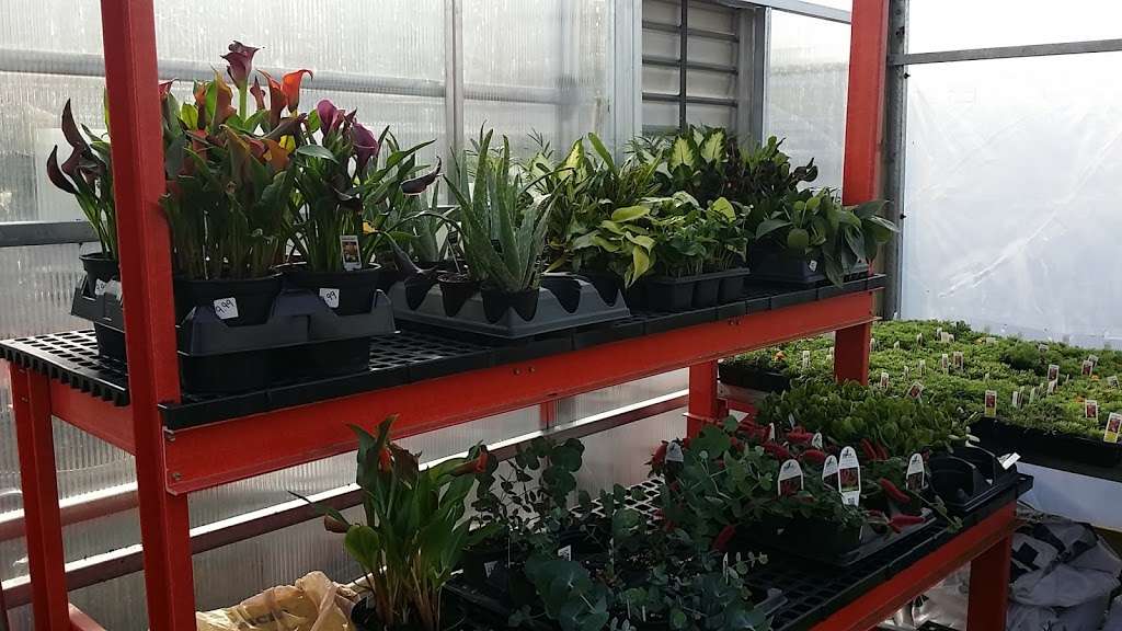 Hillside Nursery | 110 Jackson St, Clifton Heights, PA 19018, USA | Phone: (610) 626-2826