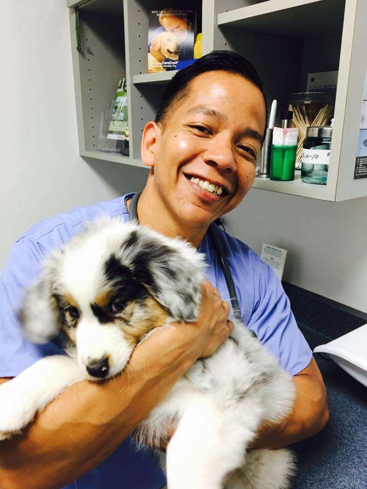 Sendero Animal Hospital | 30703 Gateway Pl, Ladera Ranch, CA 92694 | Phone: (949) 226-5597