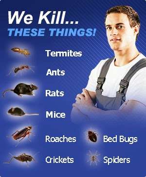 Lords Pest Control Inc | 7-28 149th St, Whitestone, NY 11357, USA | Phone: (800) 834-7378