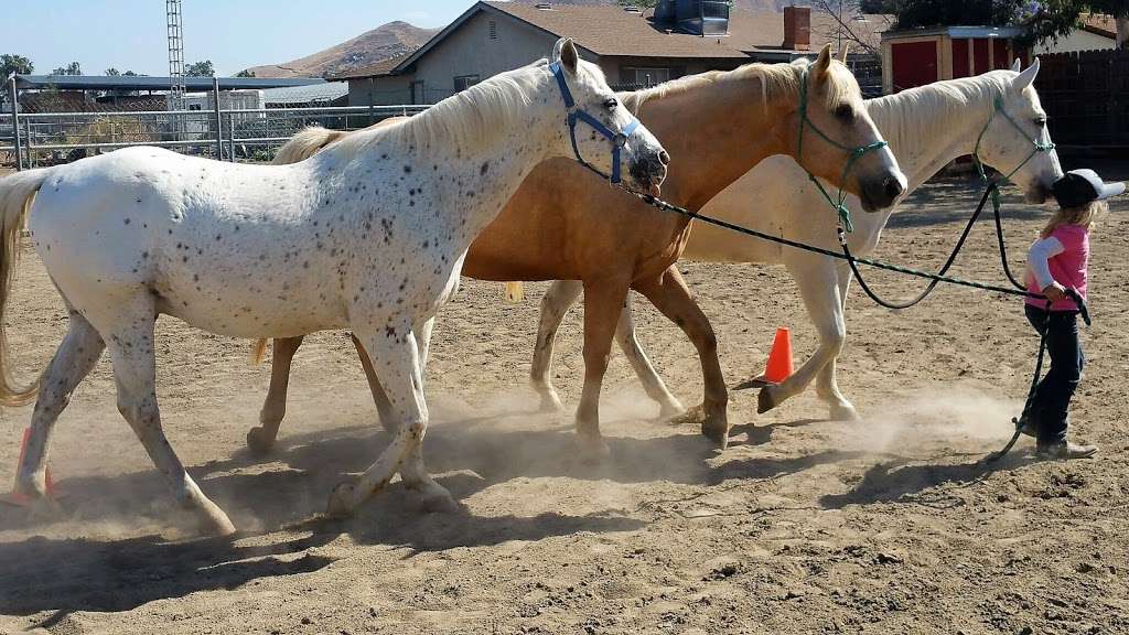 NDR Therapeutic Riding | 3659 Pedley Ave, Norco, CA 92860, USA | Phone: (951) 283-3967