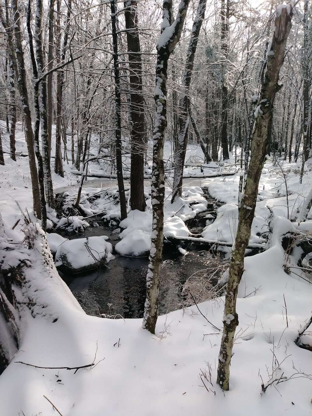 Horse Hill Nature Preserve | 184 Amherst Rd, Merrimack, NH 03054, USA