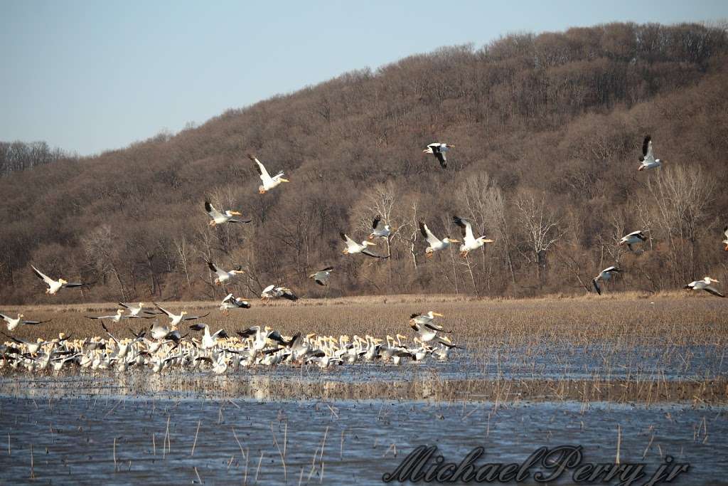 Cooley Lake Conservation Area | Orrick, MO 64077, USA