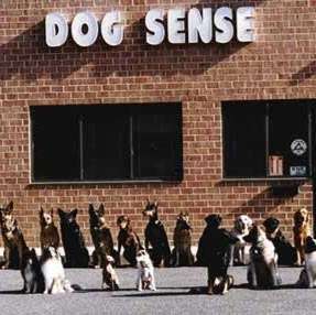 Dog Sense Unlimited | 601-10 Dover Rd, Rockville, MD 20850, USA | Phone: (301) 340-8766