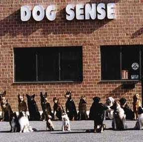 Dog Sense Unlimited | 601-10 Dover Rd, Rockville, MD 20850, USA | Phone: (301) 340-8766