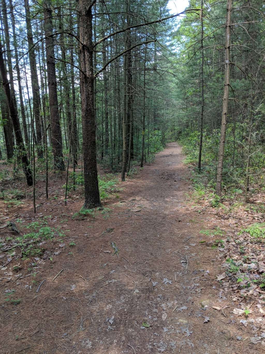 Beaver Trail Trailhead | Birch Run Rd, Fayetteville, PA 17222, USA