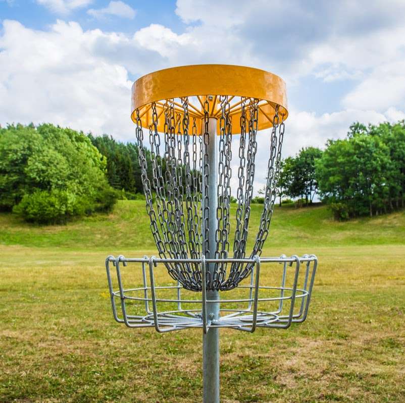 Disc Golf Shopping | 218 Middleton Ct, Elgin, IL 60124 | Phone: (847) 754-8724