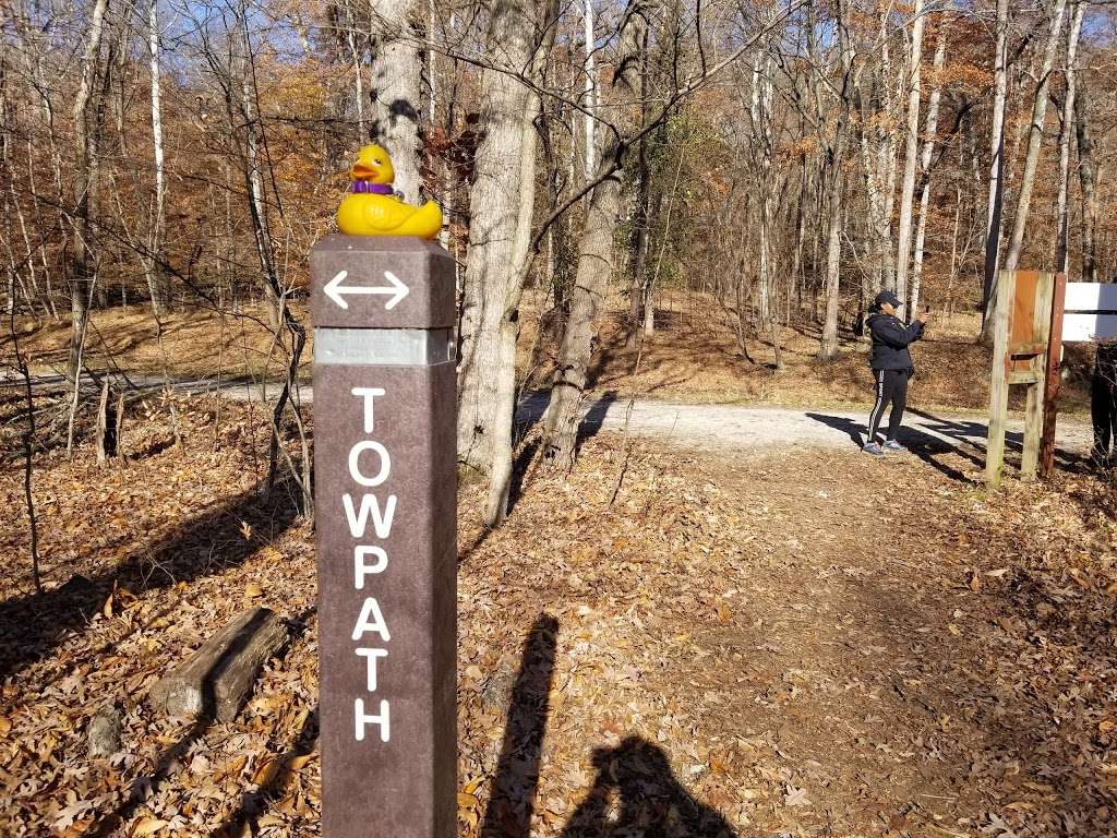 Carderock Recreation Area | Chesapeake and Ohio Canal Towpath, Potomac, MD 20854, USA