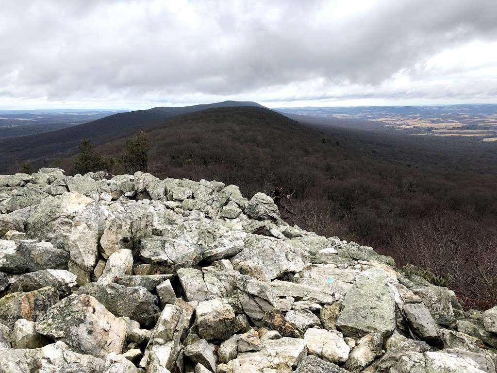 Hawk Mountain Sanctuary Visitor Center | 1700 Hawk Mountain Rd, Kempton, PA 19529 | Phone: (610) 756-6961