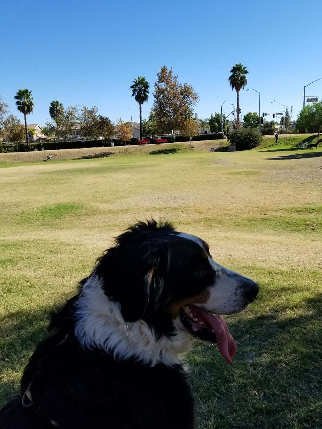 Aldergate Dog Park, Valley-Wide Recreation and Park District | 28680 Aldergate Dr, Menifee, CA 92584, USA | Phone: (951) 654-1505