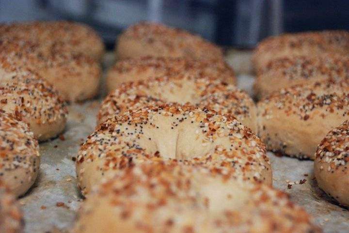 Village Bagels | 1800, 108 Swedesboro Rd # 16, Mullica Hill, NJ 08062 | Phone: (856) 223-9070