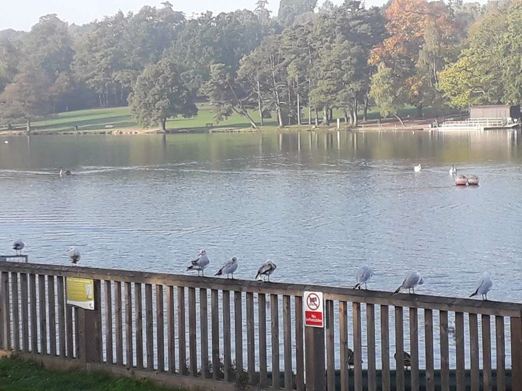 Tilgate Forest Recreation Centre | Crawley RH10 5PH, UK