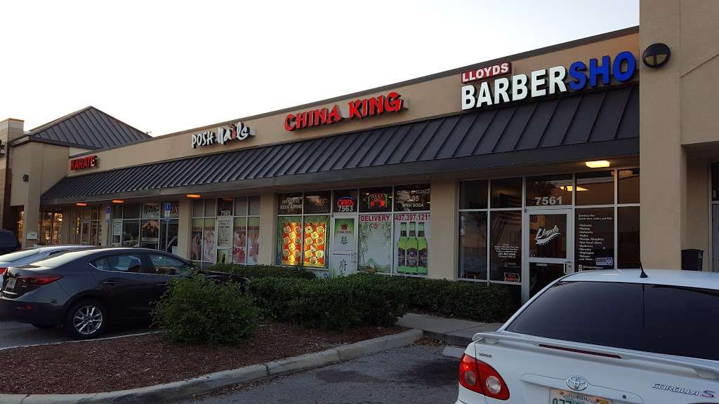 China King | 9112, 7563 Osceola Polk Line Rd, Davenport, FL 33896, USA | Phone: (407) 397-1211