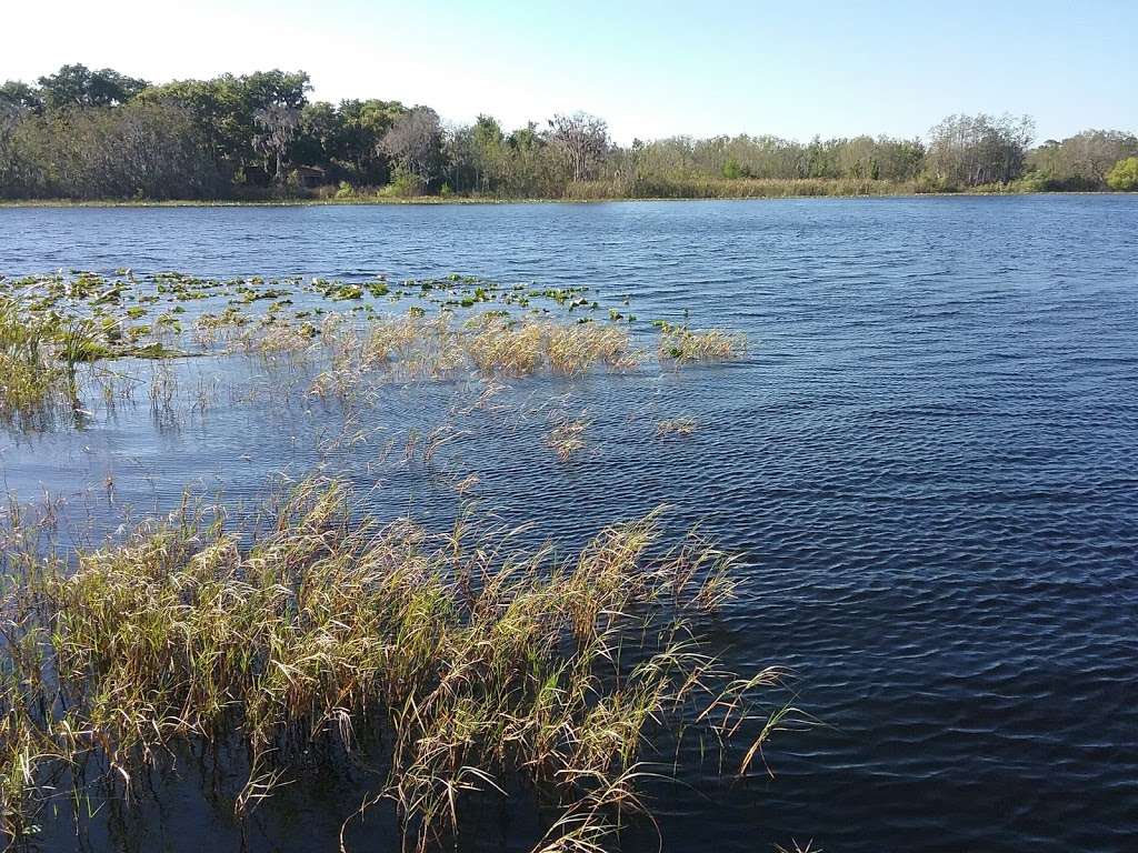 Lake David Park | 450 S Lake Ave, Groveland, FL 34736, USA | Phone: (352) 429-2141