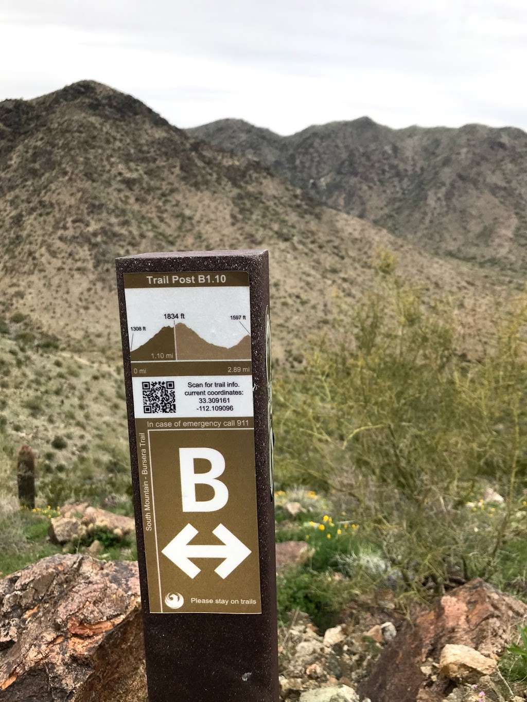 Bursera Peak | Phoenix, AZ 85045, USA