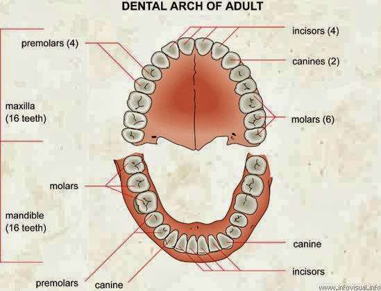 Smile Sensations L.V. | 7730 W Cheyenne Ave, Las Vegas, NV 89129, USA | Phone: (702) 365-2600