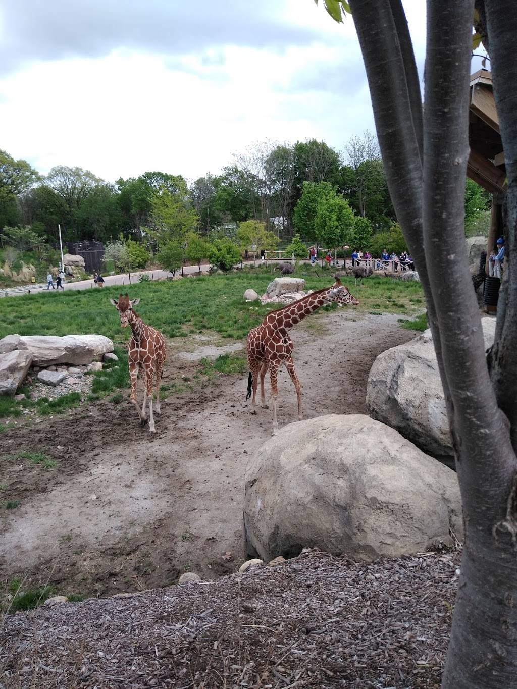 Omaha Zoo North Entrance | 3319 S 10th St, Omaha, NE 68108 | Phone: (402) 733-8401