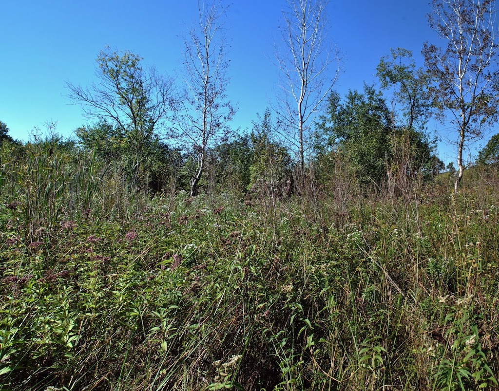 Pickerel Lake Fen State Natural Area | 101 S Webster St, Madison, WI 53703, USA | Phone: (608) 266-2621