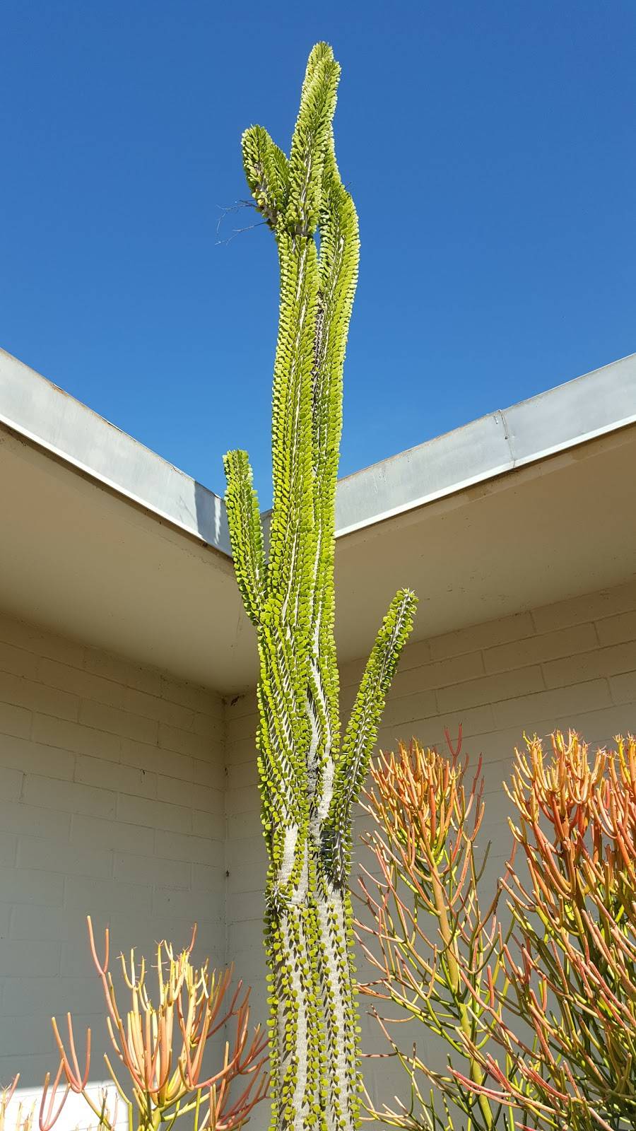 UC Agriculture and Natural Resources, South Coast Research and Extension Center | 7601 Irvine Blvd, Irvine, CA 92618, USA | Phone: (949) 653-1810