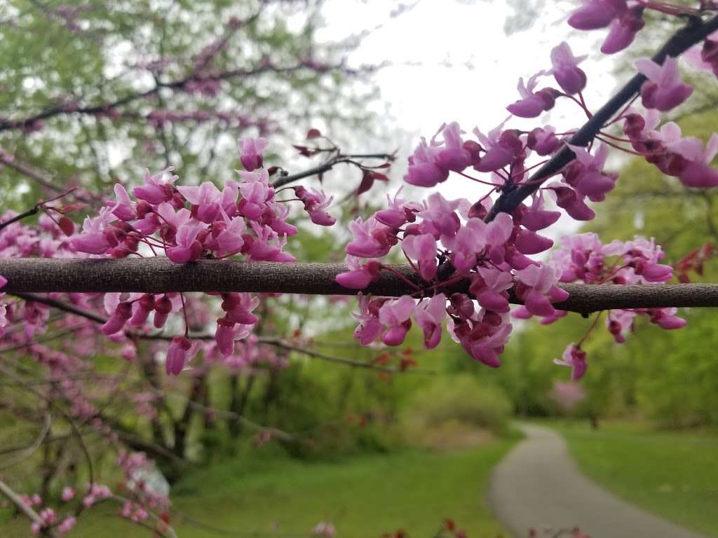 Malcolm Wilson County Park | Yonkers, NY 10707, USA