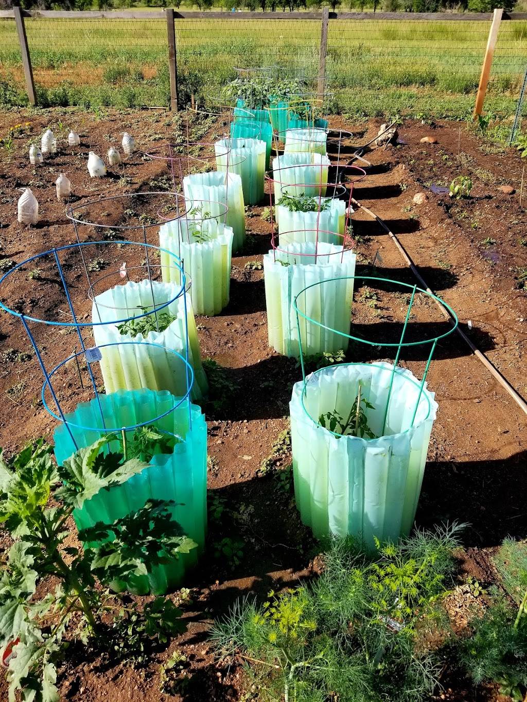 Charmaine Nymann Community Garden at Bear Creek Regional Park | Creek Crossing St, Colorado Springs, CO 80905 | Phone: (719) 634-4433