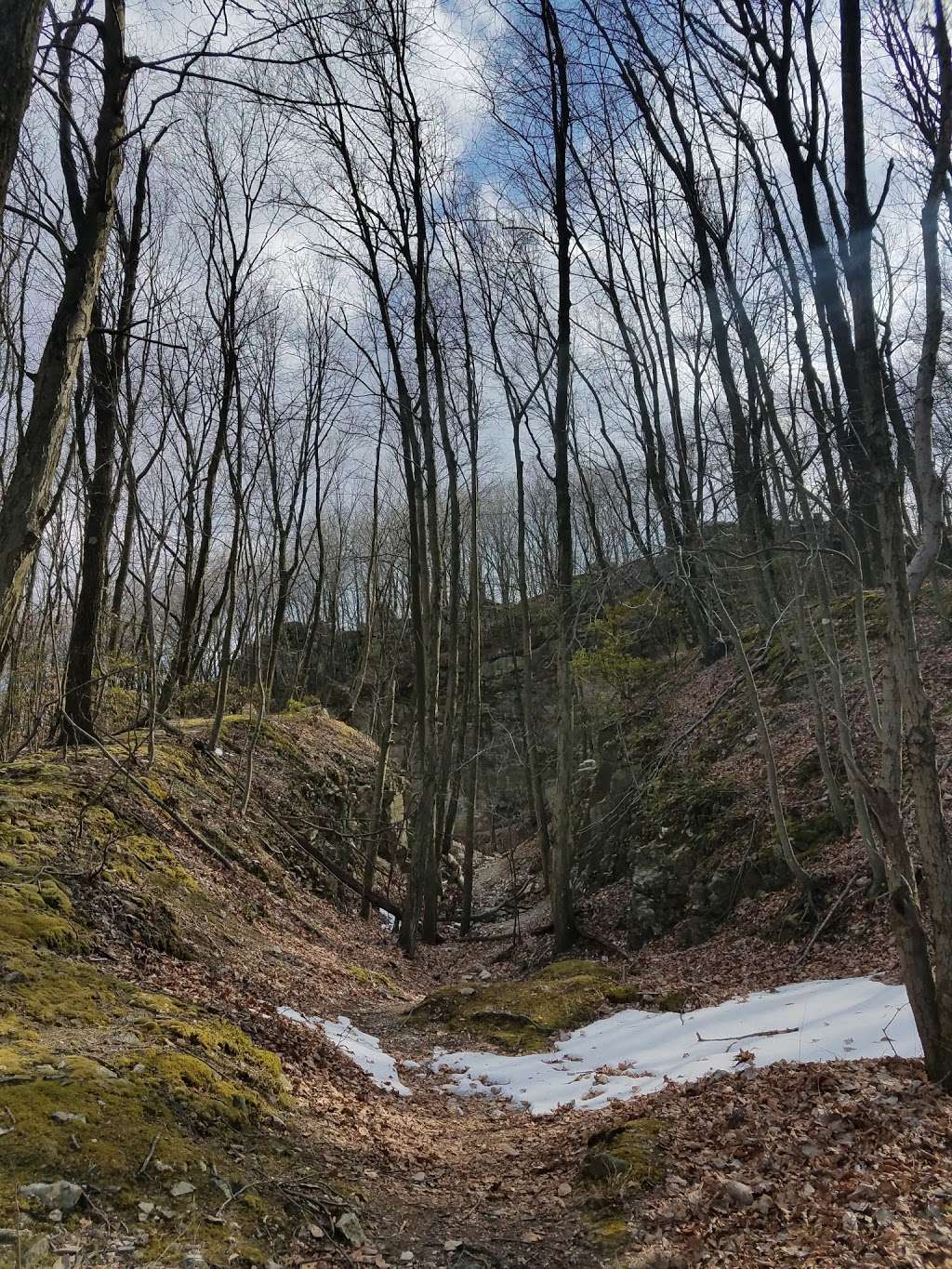 Welsh Mountain Nature Preserve | 601 Gault Rd, New Holland, PA 17557 | Phone: (717) 392-7891