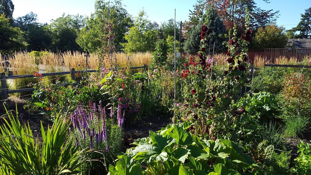 Delridge P-Patch Community Gardens | 5078 25th Ave SW, Seattle, WA 98106, USA | Phone: (206) 684-0264