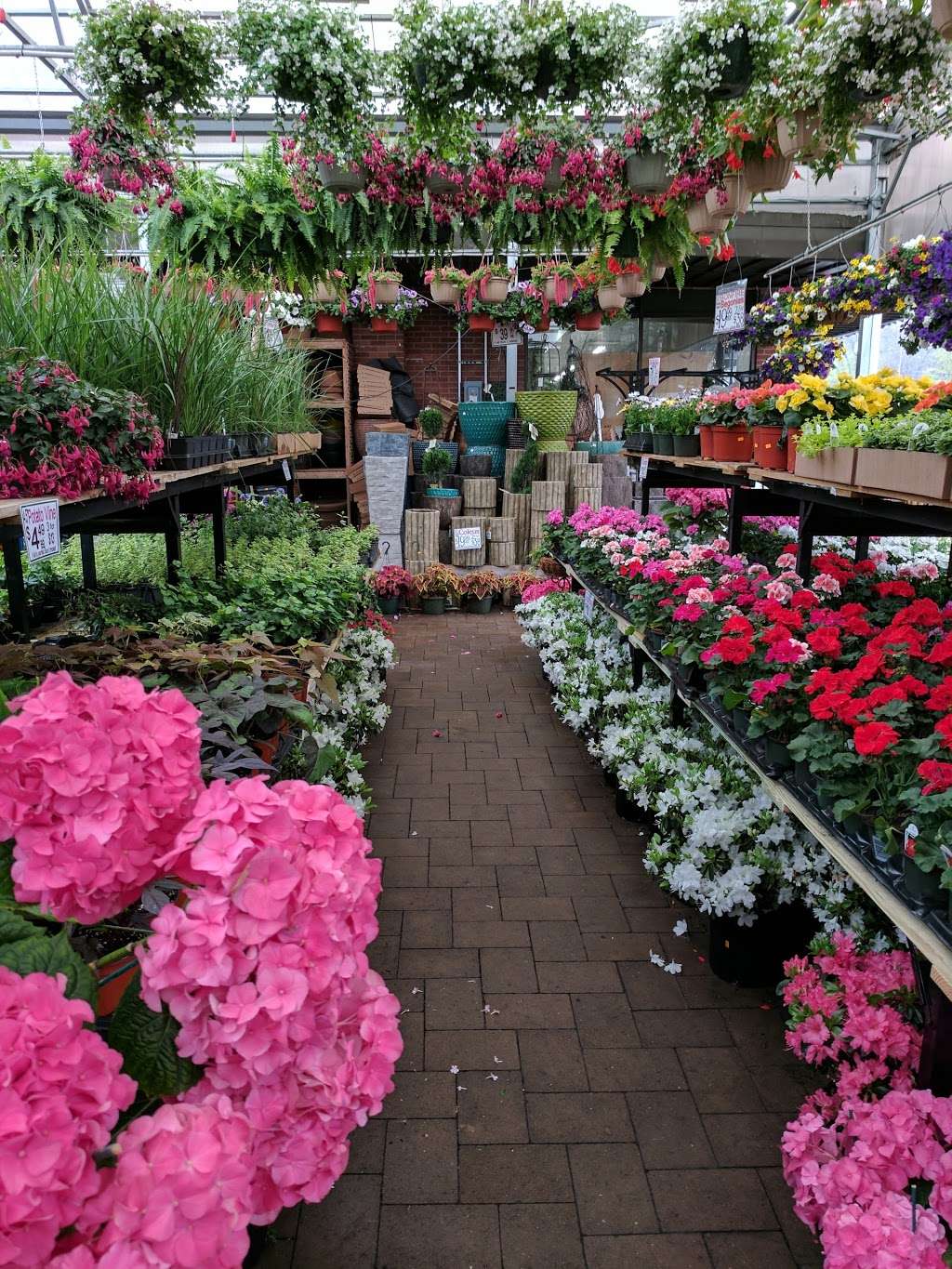 Metropolitan Plant and Flower Exchange | 471 NJ-10, West Orange, NJ 07052 | Phone: (973) 736-0049