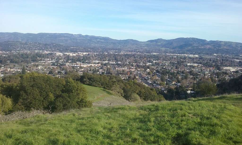 Ristines Wines | 2865 Hilltop Dr, Napa, CA 94558, USA | Phone: (707) 738-7779