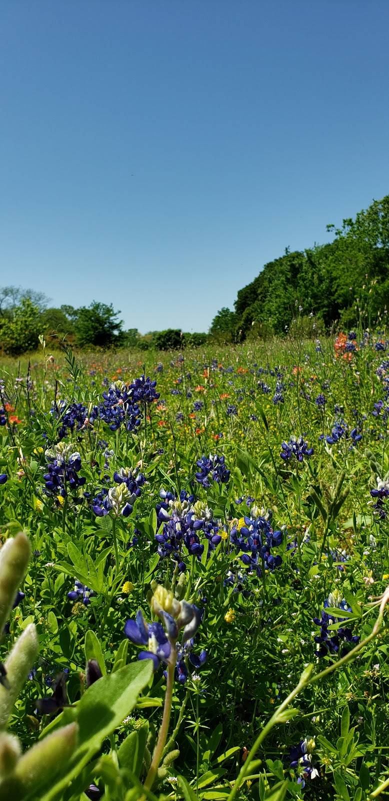 Villages of Bear Creek Park | 1951 Bear Creek Pkwy, Euless, TX 76039, USA | Phone: (817) 685-1429