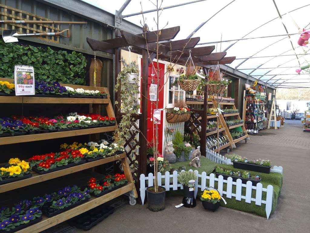 Thurrock Garden Centre | South Road, South Ockendon RM15 6DU, UK | Phone: 01708 851991