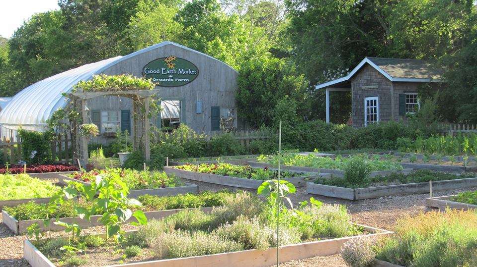 Good Earth Market & Organic Farm | 31806 Good Earth Ln, Ocean View, DE 19970, USA | Phone: (302) 537-7100