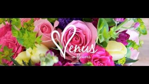 Venus in Flowers | 1 Station Approach, Theydon Bois, Epping CM16 7EU, UK | Phone: 01992 813106